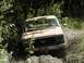 1984 Ford Bronco photo