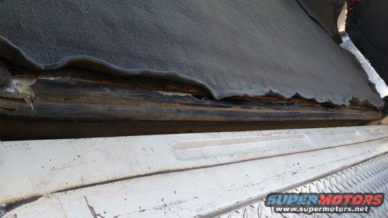 Old Tailgate weatherstripping..