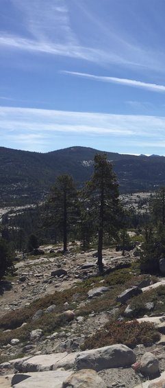 img_3578.jpg 