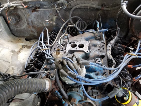 Engine bay with carburetor, distributor, and spark plug wires