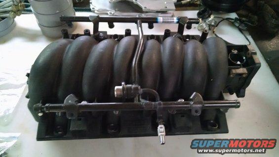 Black intake manifold with fuel rails and injectors
