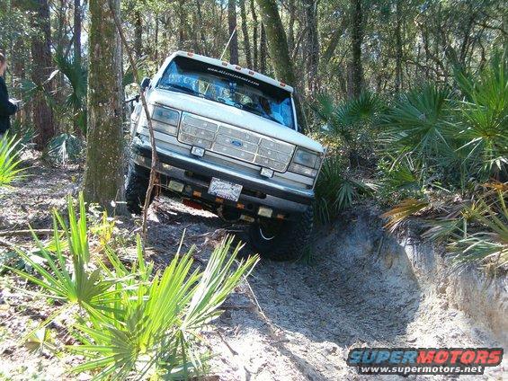 hpim0365.jpg Allcruisen-(Felix)