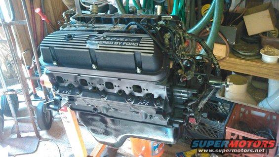 kimg0154.jpg installed waterpump, and started swapping the old EFI from the original engine over. painted the engine black to match the valve covers and intake. i used a set of Ford Racing 42lb injectors. i will clean the EFI wiring better and then paint it to make it appear newer and less dirty

