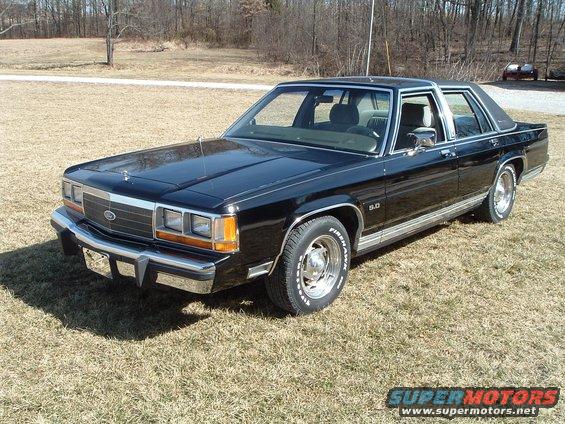 ltd-pictures-018.jpg 2