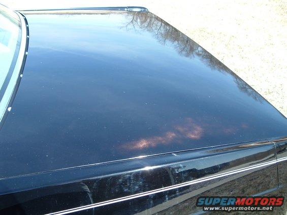 ltd-pictures-024.jpg 8