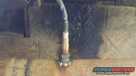 sensor--bung.jpg