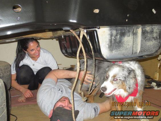 Kati getting jealous that the Fiancee is helping me work on the bronco!