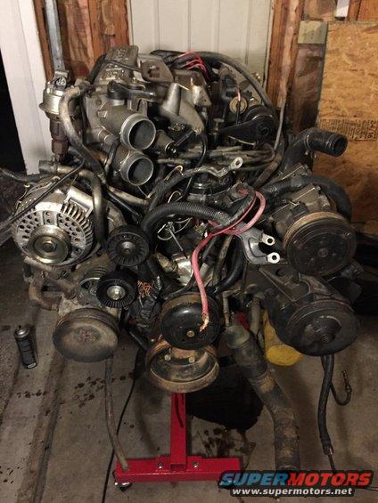 the front of the engine.  since it was from an e-van, note the saginaw pump.  also, note the side mount 130A 3G alternator!  they threw in all of the wiring harnesses too, and even the PMGR starter and it's wiring harnesses!