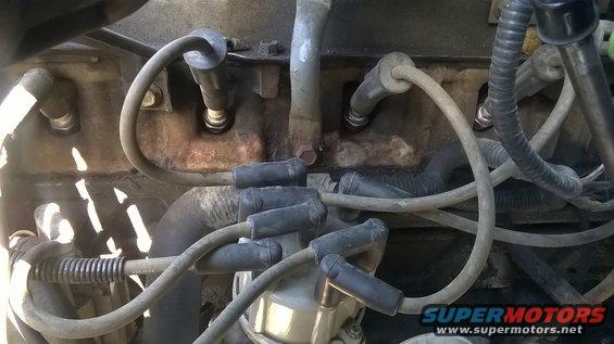 Engine spark plug wires and distributor cap