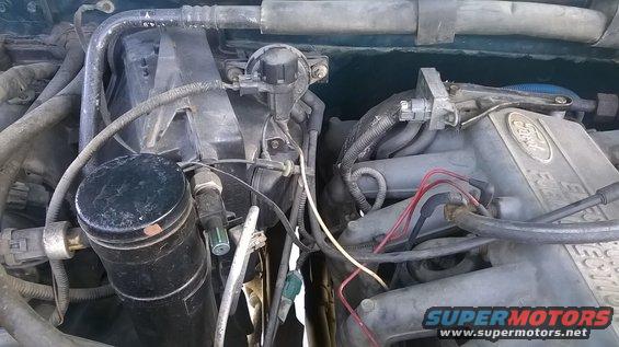 Close-up of a Ford engine bay with 'FUEL INJECTION' visible on the intake manifold