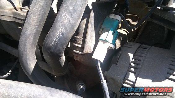 Close-up of hoses and electrical connector in an engine bay. A Motorcraft hose is visible