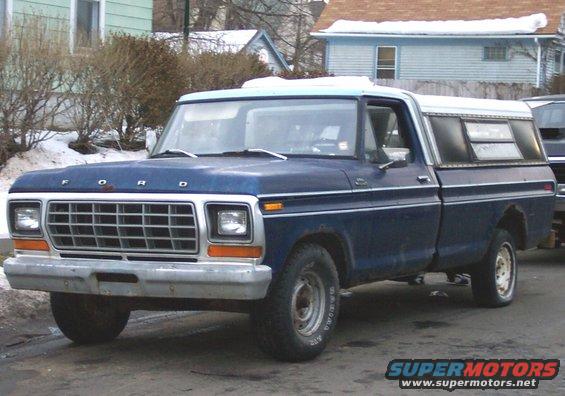 picture_0660.jpg Another 1 4 free 302 3 on the tree