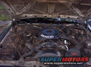 Engine bay of an older car, looks like a Ford Crown Victoria. Some parts are dirty