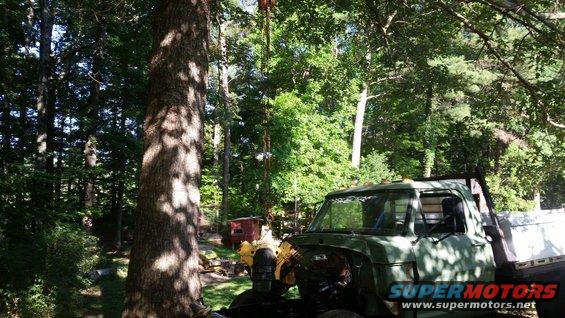 Green flatbed truck with a white bed, parked outdoors in a wooded area. Part of the engine is visible