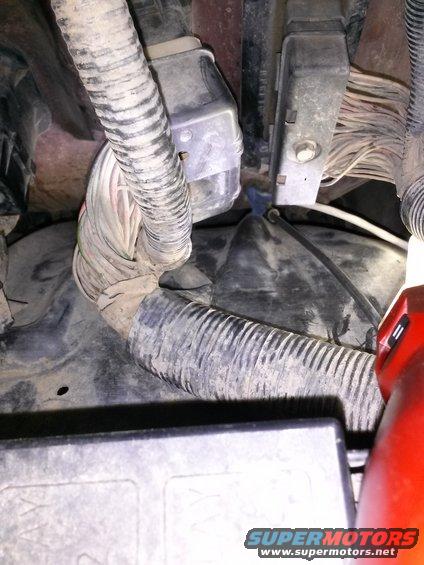 Close-up of engine bay wiring, showing bundles of wires and connectors