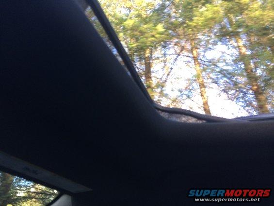 Interior view of car with sunroof open, trees visible outside