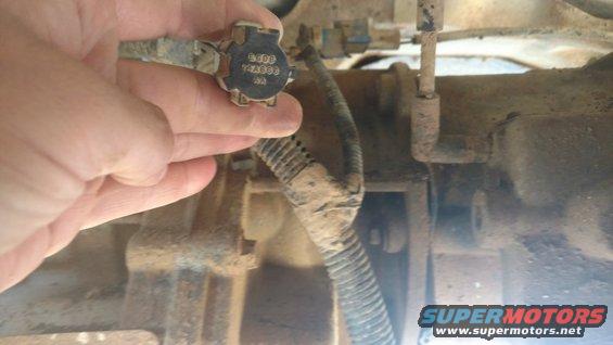 Yahtzee!! Found the capped off harness connector above the transmission. This connector is where the short manual transfer case shift locater harness plugs in. 