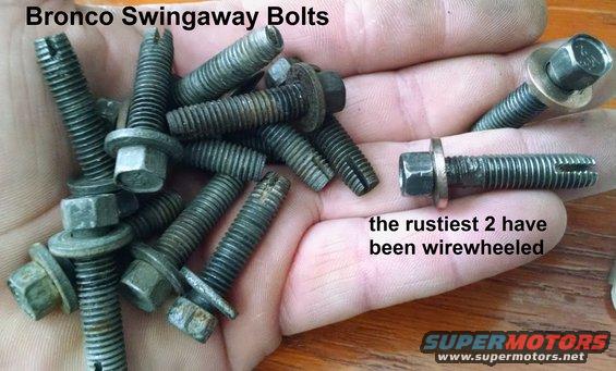 swingawaybolts.jpg '78-96 Bronco Swingaway Tire Carrier & Strike Bolts
IF THE IMAGE IS TOO SMALL, click it.

M8x1.25 self-tapping w/10mm head & captive 18mm washer