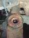 1978 Ford Bronco - This close-up shows a heavily rusted suspension part, possibly a bushing mount, with visible wear and corrosion.