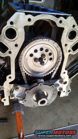 Engine block with timing chain, gears, and oil pump assembly mounted. Gray metal components against black engine block