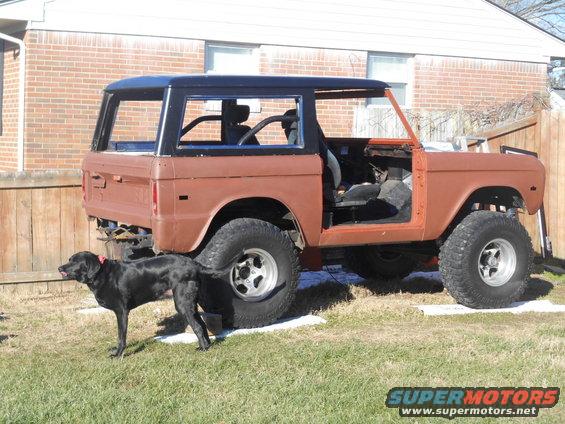 Brown Ford Bronco with black hardtop, missing doors, and roll cage, parked on grass