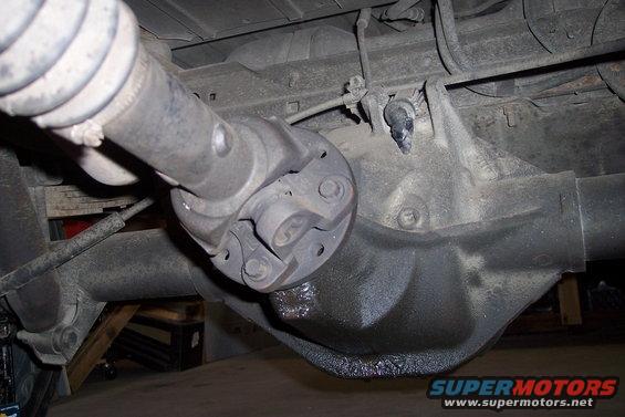 Rear differential and driveshaft assembly