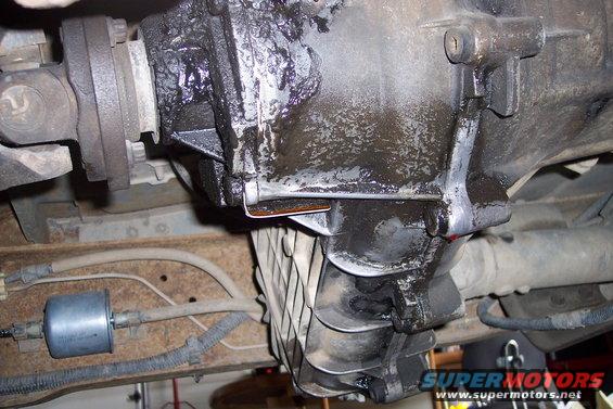 Underside view of a greasy transmission and driveshaft assembly. Fuel filter visible