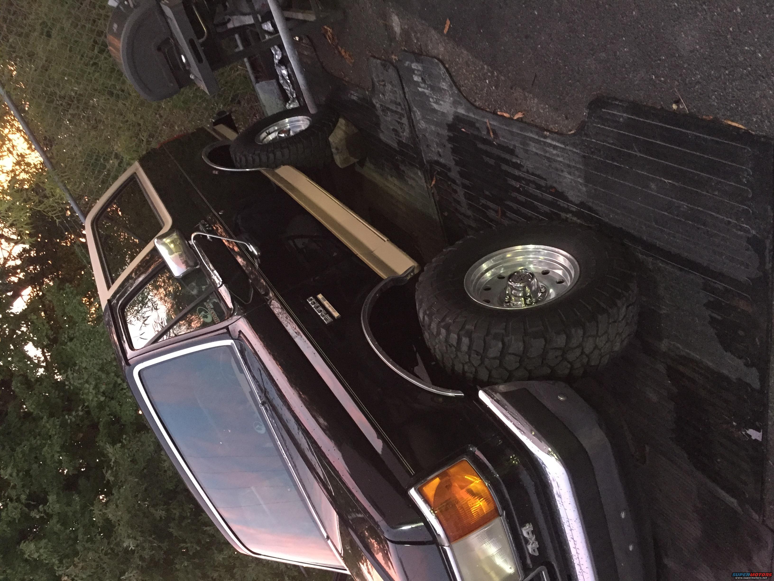 1991 Ford Bronco photo