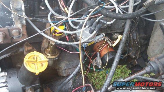 Engine bay with distributor, spark plug wires, fuel pump, and oil filter