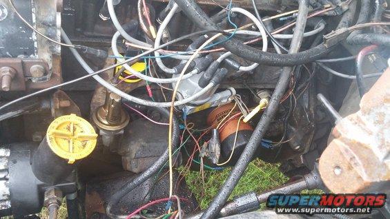 Engine bay with distributor cap, spark plug wires, and oil filter. Wires are messy