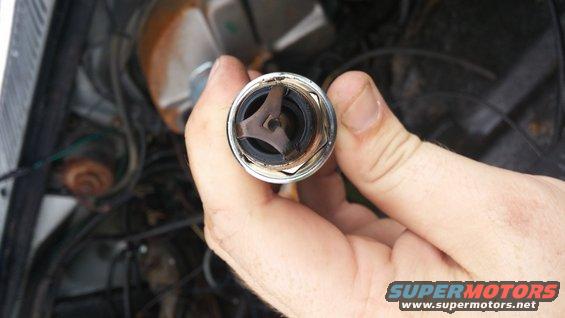 Plug 3
