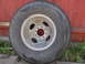 DSC01562.JPG