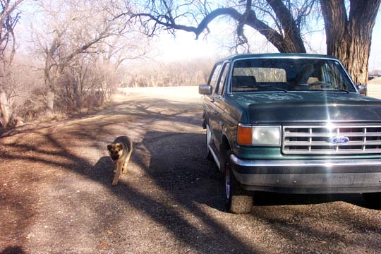 1987 Ford Bronco parked on a dirt road with a dog walking nearby