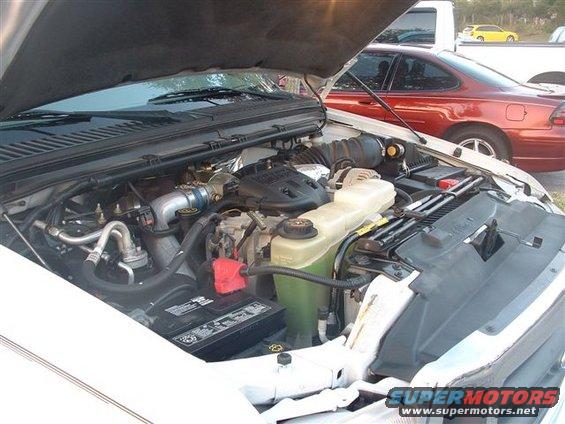 engine bay of a white truck with hood up, red car and yellow car in background