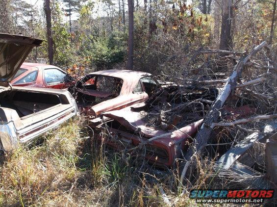 Red 1970s coupe car body in a junkyard, rear view, heavily damaged and overgrown with brush