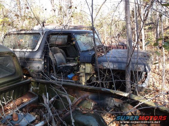 Abandoned pickup truck interior with open door, overgrown with trees