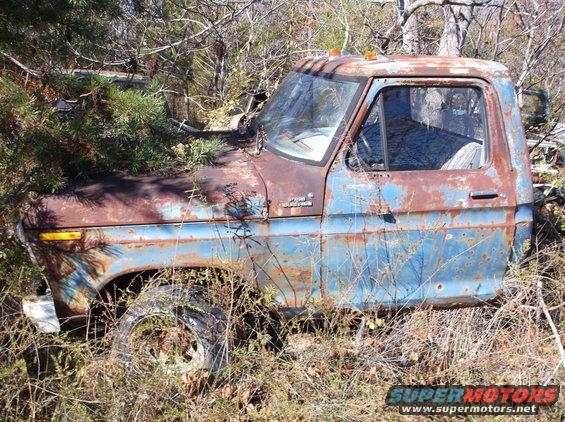 Rusted blue pickup truck overgrown with weeds and brush. Front fender and door visible