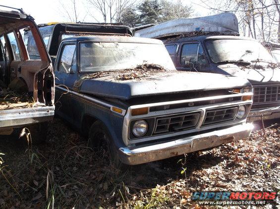 Front view of a dark blue Ford F-Series truck with leaves on the hood, parked next to other vehicles