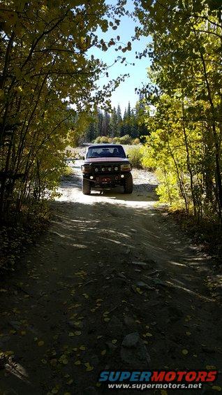 1996 Ford Bronco driving on a dirt road through trees with fall colors