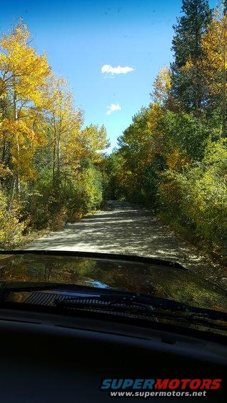Dashboard and windshield of a vehicle looking out at a dirt road lined with yellow and green autumn trees