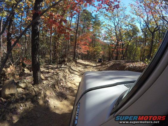 Off-road trail in autumn woods, with a vehicle visible in the distance
