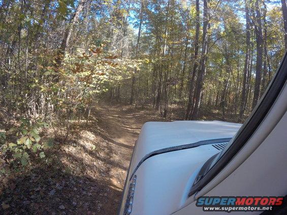 White SUV driving on a dirt road in a forest, showing the hood and windshield frame