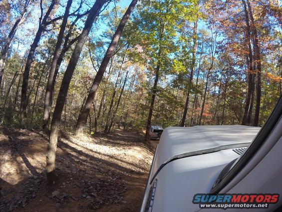 White SUV roof and windshield edge in foreground, another white SUV on dirt road ahead in forest