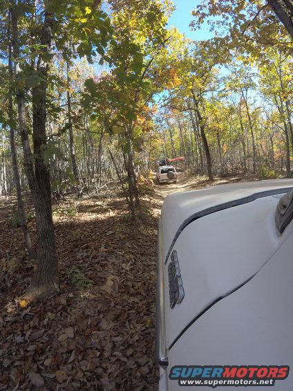 White SUV on forest road, another SUV ahead
