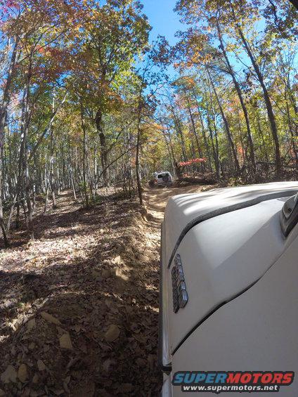 White SUV on dirt road in forest with fall foliage. Another white SUV is visible further down the path