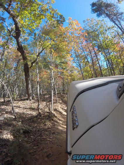 White SUV driving on a dirt path through woods with fall foliage