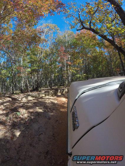 1979 Ford Bronco driving on a dirt trail with fall foliage