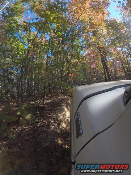 Side view of a vehicle driving on a dirt path through woods with fall foliage