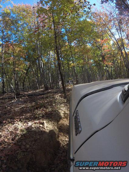 White SUV driving on a dirt path in a forest with autumn leaves