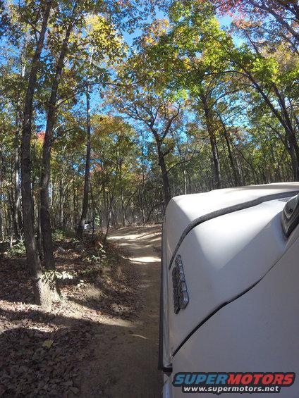 White 1979 Ford Bronco driving on a dirt road in a forest